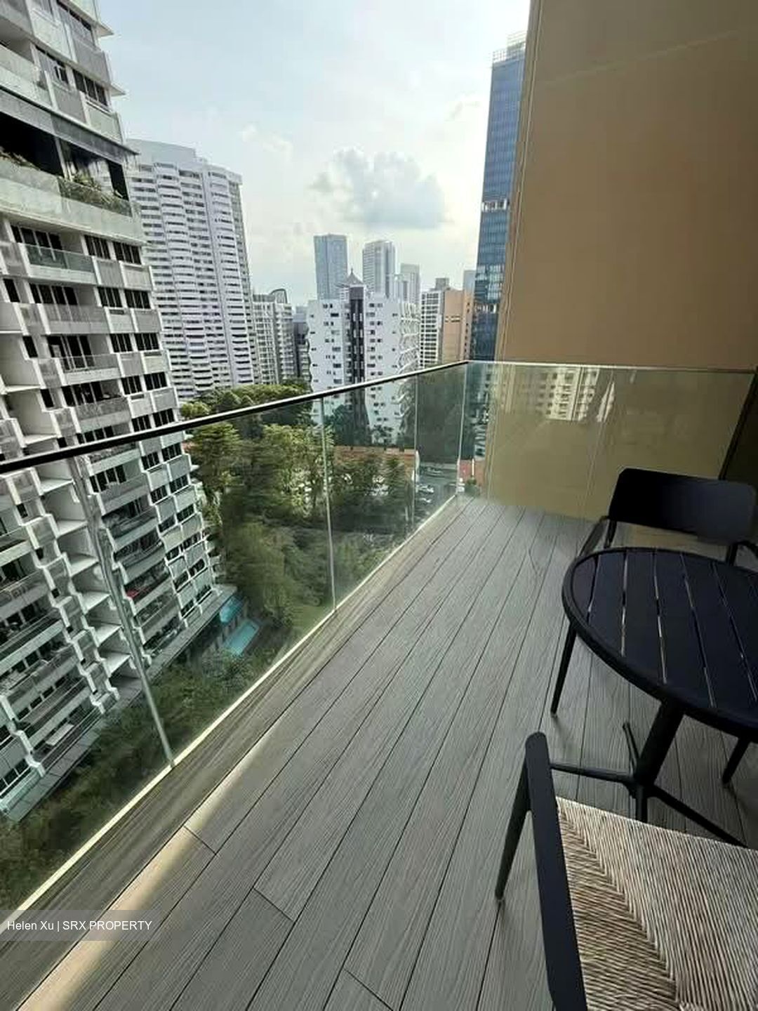 Cairnhill 16 (D9), Apartment #533776831